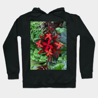 Red Christmas Floral Spray of Peace and Joy Hoodie